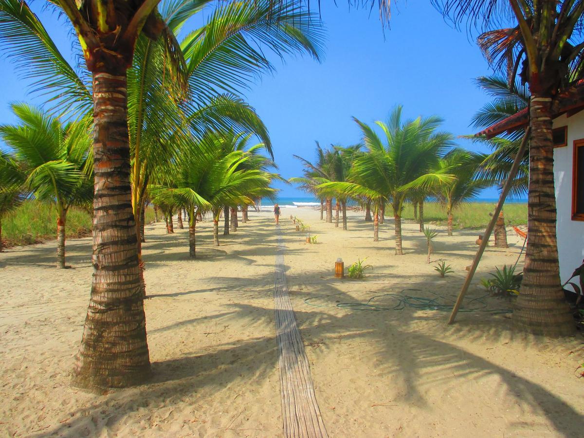 Beach Front Bungalows At The Coconut กานัว ภายนอก รูปภาพ